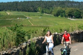 Quoi de neuf sur l'appli Balades en Bourgogne ?